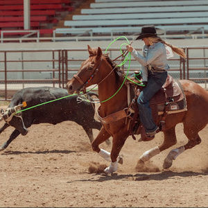 Meet your Posher, Mackenzie